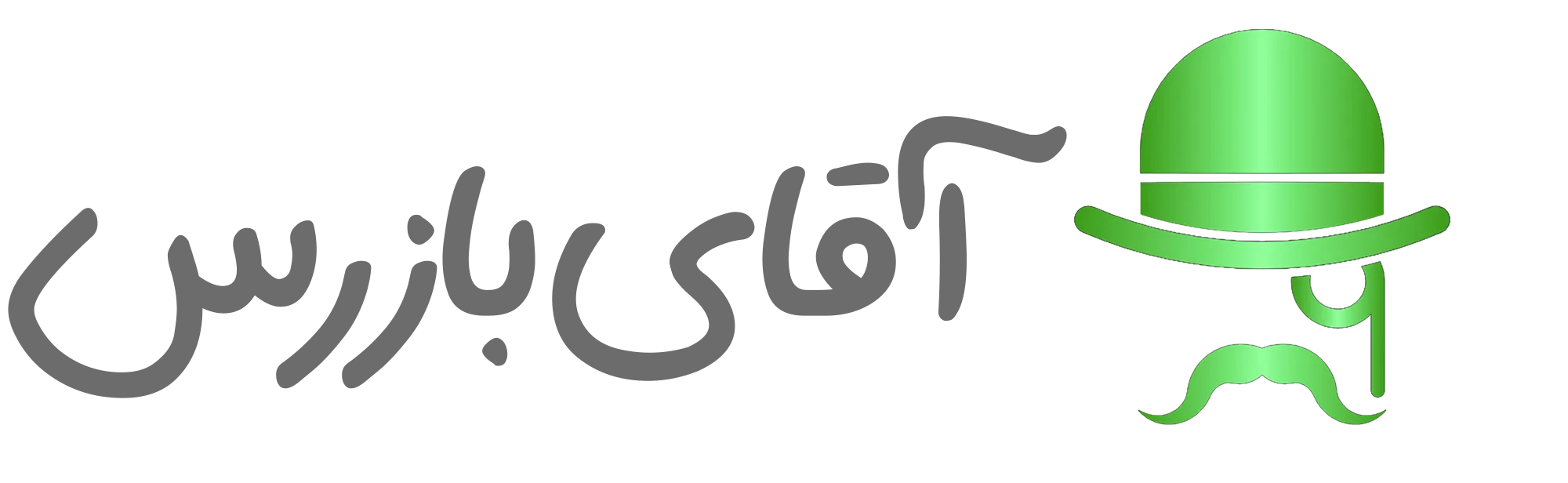 مستر بازرس