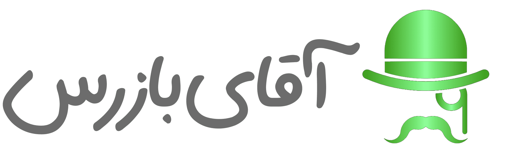 مستر بازرس