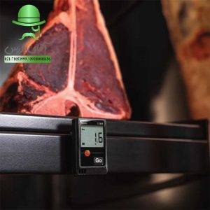 قیمت و خرید ارزان انواع دیتالاگر دما و رطوبت تستو TESTO 174H 174T 